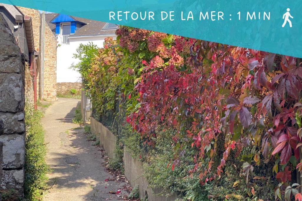 Ty Gavrinis - T2- Centre Bourg - 100M De La Mer Larmor-Baden Kültér fotó